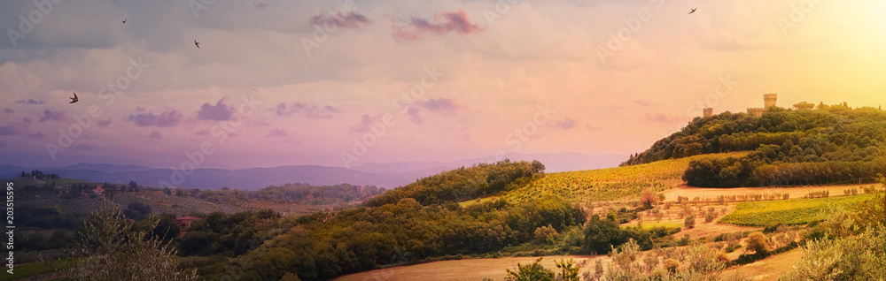 italy; tuscany;  region chianti landscape