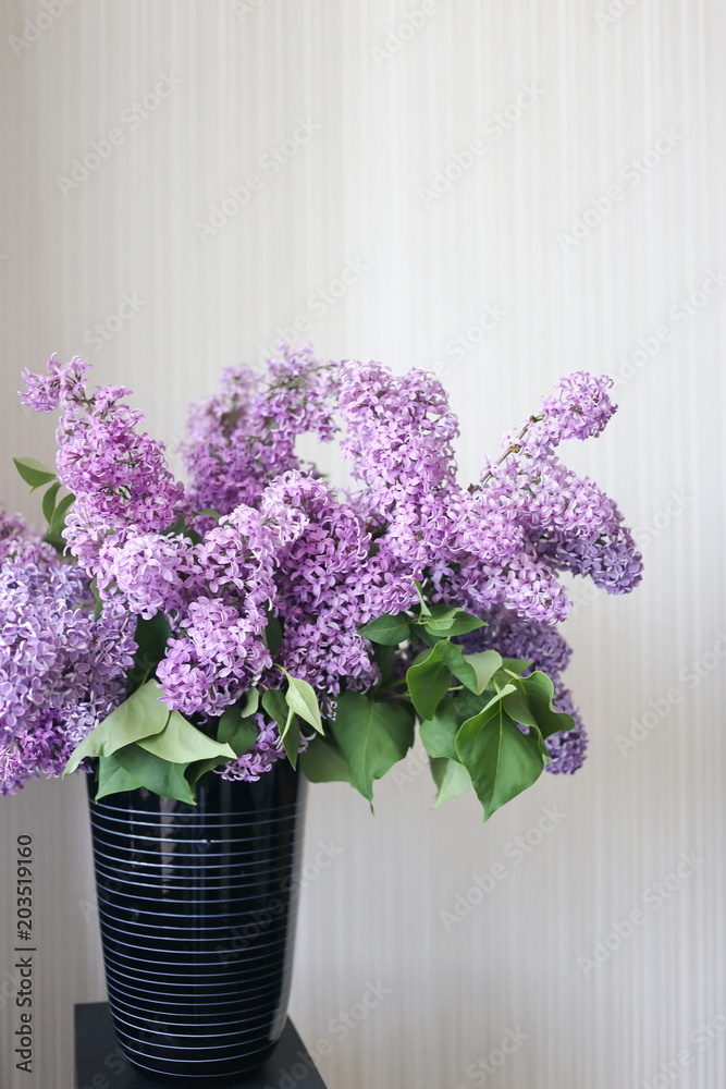 Fototapeta premium Vase with spring violet lilac flowers