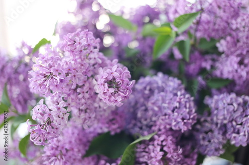 Vase with spring violet lilac flowers