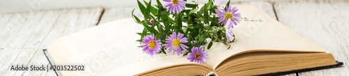 Banner of Blooming Virgin asters flowers on open book on window. Autumn summer background