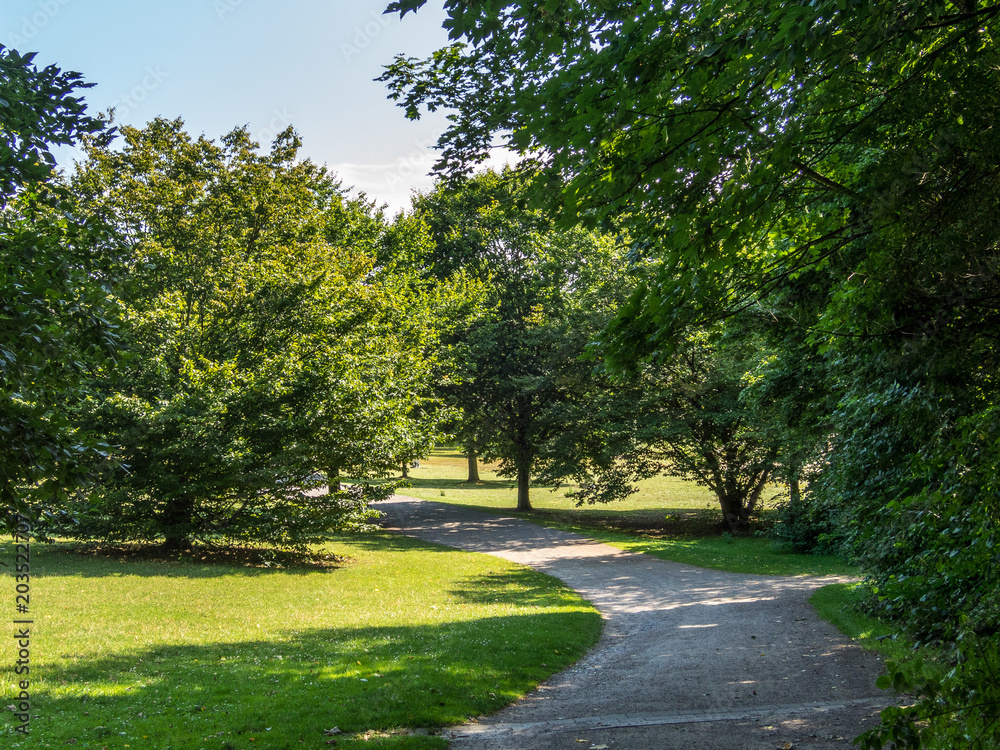 Naklejka premium Road in park