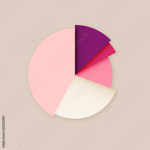 Stylish pink red vector blank pie chart diagram infographics design template