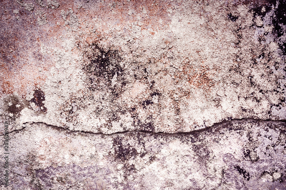 Fototapeta premium grunge crack wall texture background