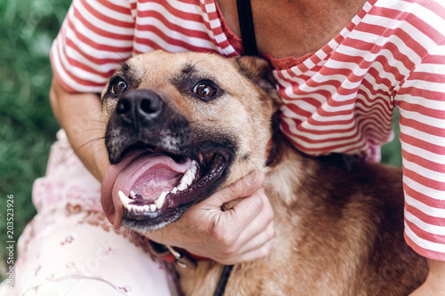 Cute dog bonding with new owner, happy brown dog hugging woman close-up, best friends in the park, animal shelter concept