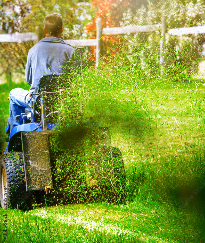 back view of a man sitting on his lawn tractor mowing his lawn in sunny weather back view of a man sitting on his lawn tractor mowing his lawn in sunny weather