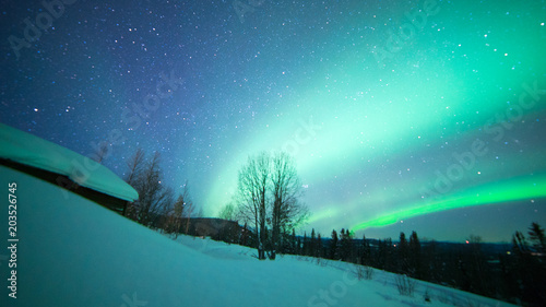 Northernlights photo