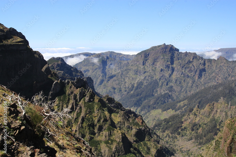 les montagnes de l'île de Madère