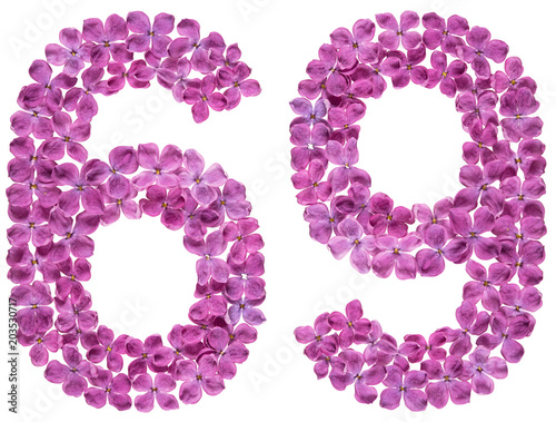 Arabic numeral 69, sixty nine, from flowers of lilac, isolated on white background photo