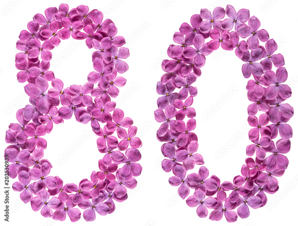 Arabic numeral 80, eighty, from flowers of lilac, isolated on white background
