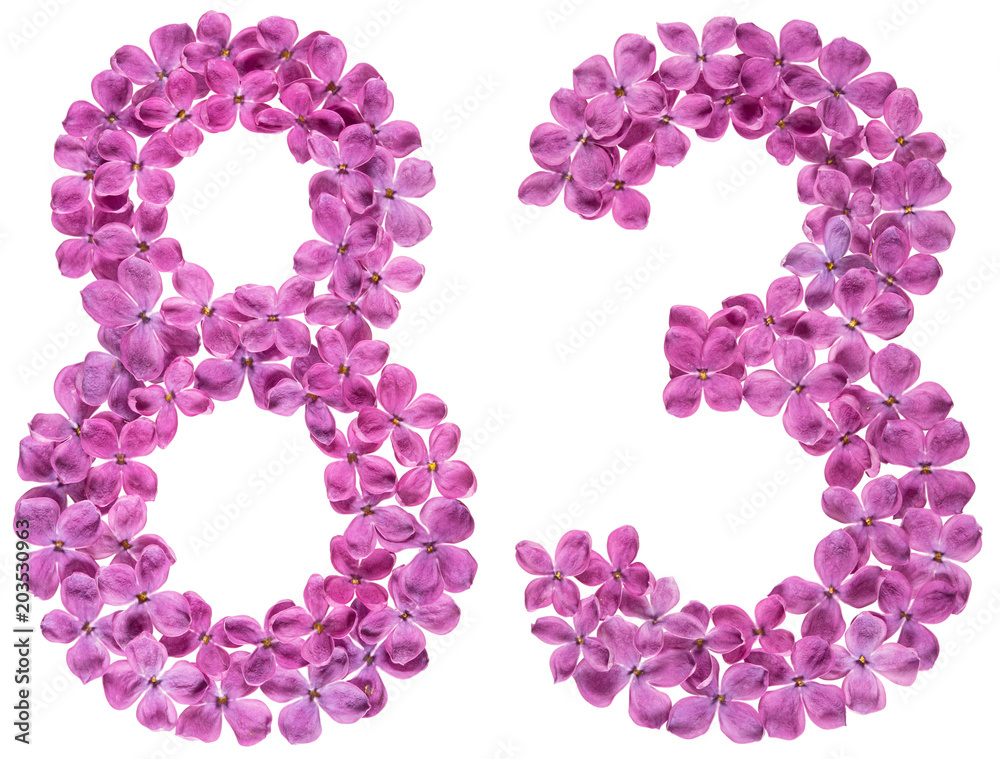 Arabic numeral 83, eighty three, from flowers of lilac, isolated on white background