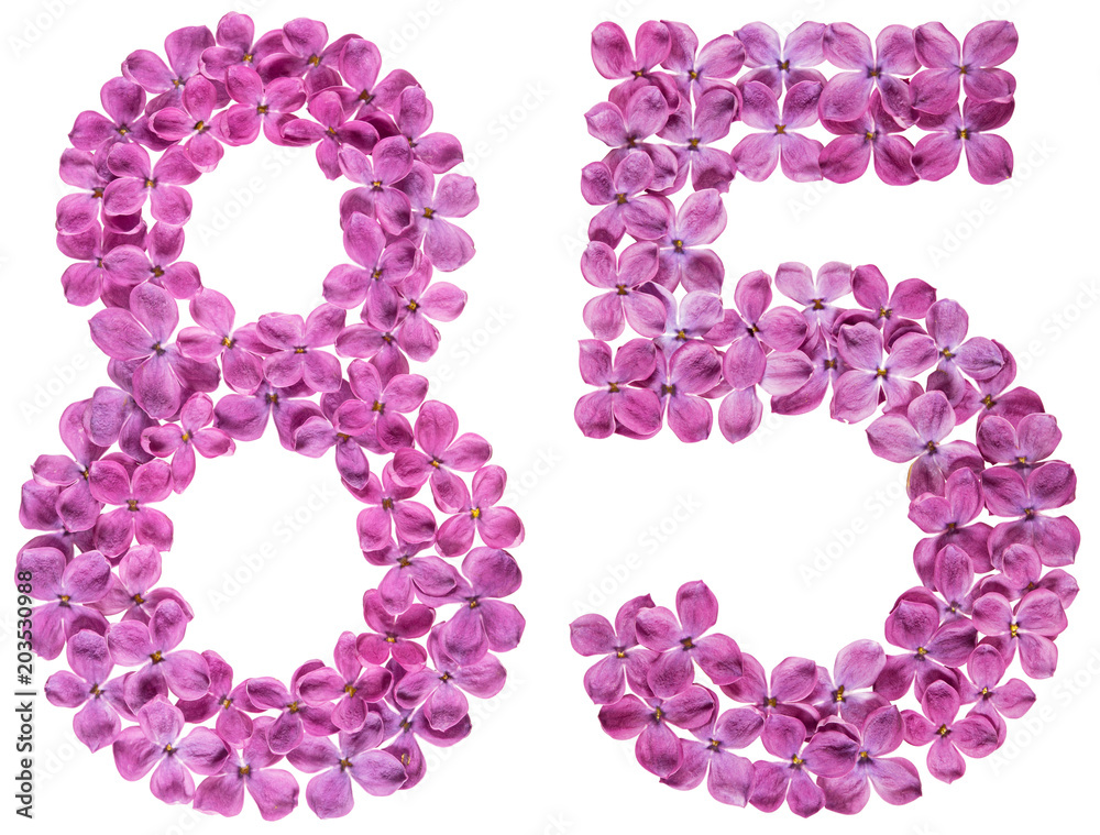 Arabic numeral 85, eighty five, from flowers of lilac, isolated on white background