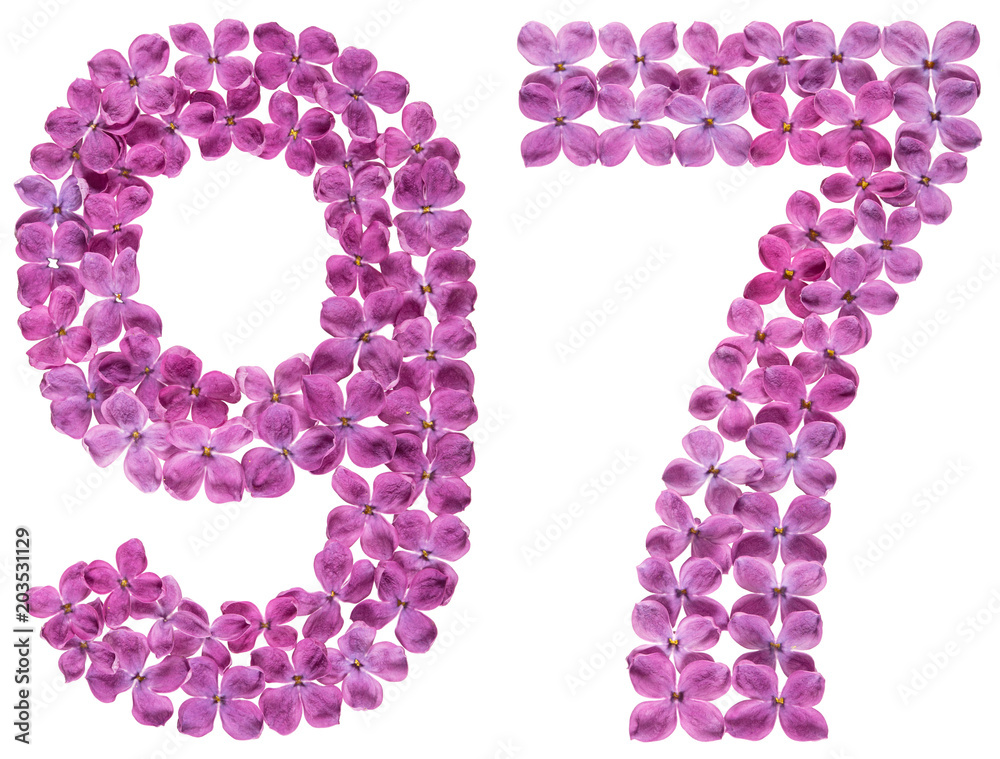 Arabic numeral 97, ninety seven, from flowers of lilac, isolated on white background Arabic numeral 97, ninety seven, from flowers of lilac, isolated on white background