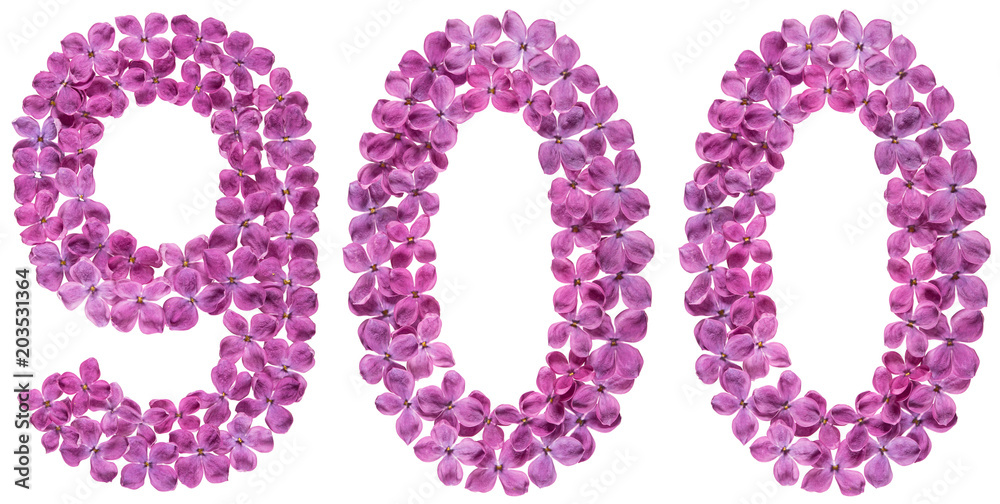 Arabic numeral 900, nine hundred, from flowers of lilac, isolated on white background Arabic numeral 900, nine hundred, from flowers of lilac, isolated on white background