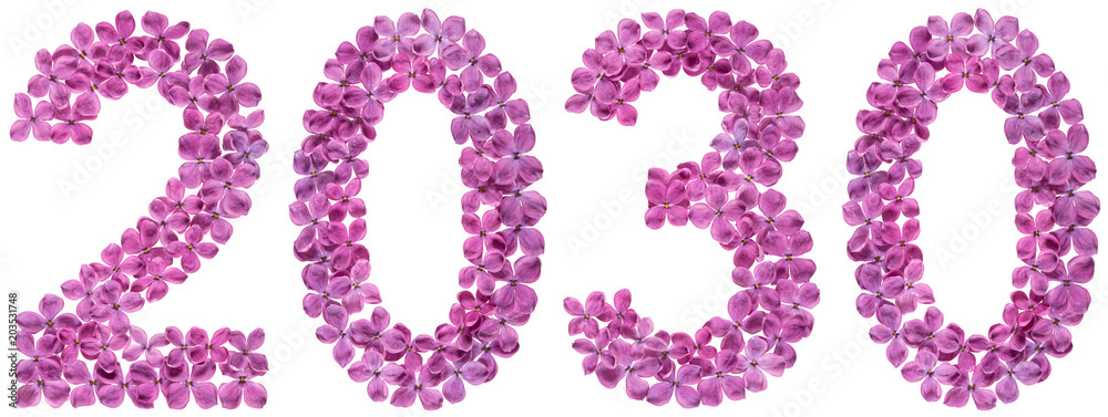 Numeral 2030 from flowers of lilac, isolated on white background Numeral 2030 from flowers of lilac, isolated on white background