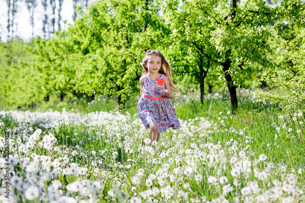 dandelion field white girl beautiful happy little baby green meadow yellow flowers dandelions nature park garden dandelion field white girl beautiful happy little baby green meadow yellow flowers dandelions nature park garden