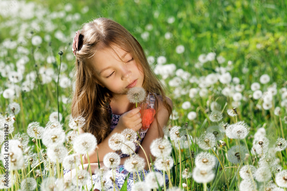 dandelion field white girl beautiful happy little baby green meadow yellow flowers dandelions nature park garden dandelion field white girl beautiful happy little baby green meadow yellow flowers dandelions nature park garden