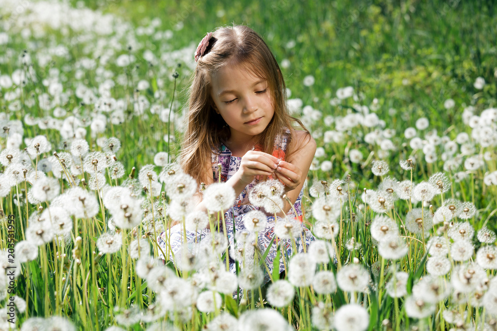 dandelion field white girl beautiful happy little baby green meadow yellow flowers dandelions nature park garden dandelion field white girl beautiful happy little baby green meadow yellow flowers dandelions nature park garden