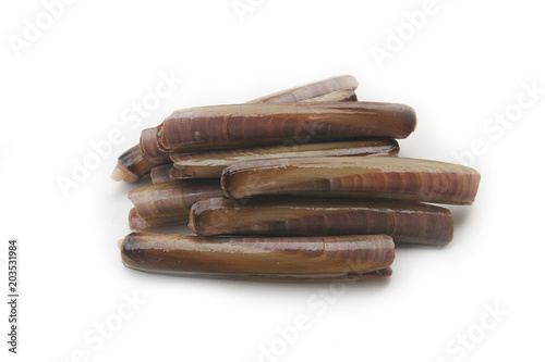 Fresh Razor clams isoletd on white background photo