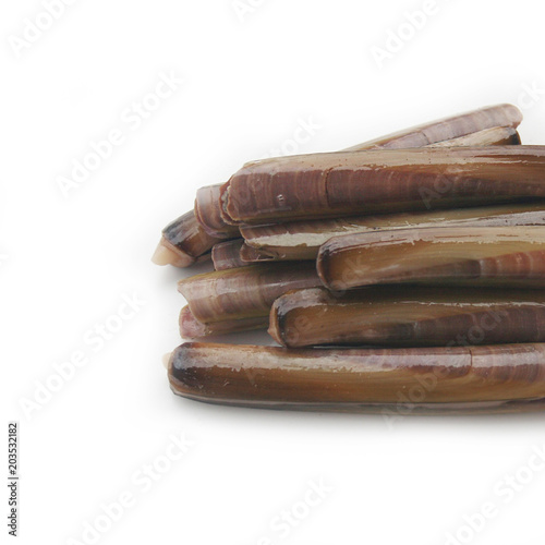 Fresh Razor clams isoletd on white background photo