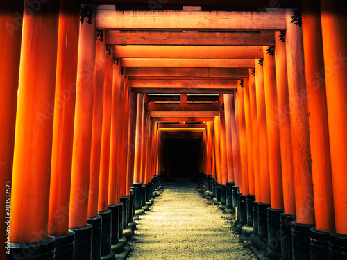 Orange Torii gates, Fushimi Inari shrine in Kyoto, Japan