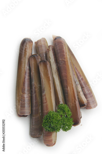 Fresh Razor clams with parsley isoletd on white background photo