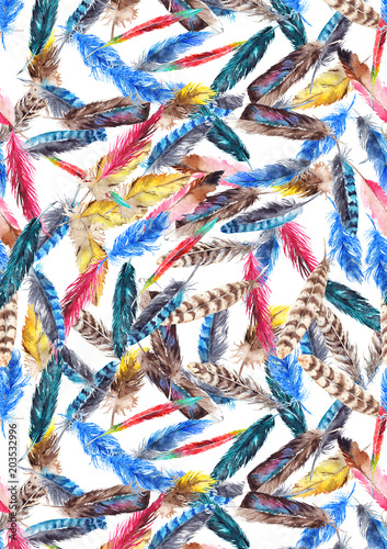 Watercolor colorful feather bird background pattern texture