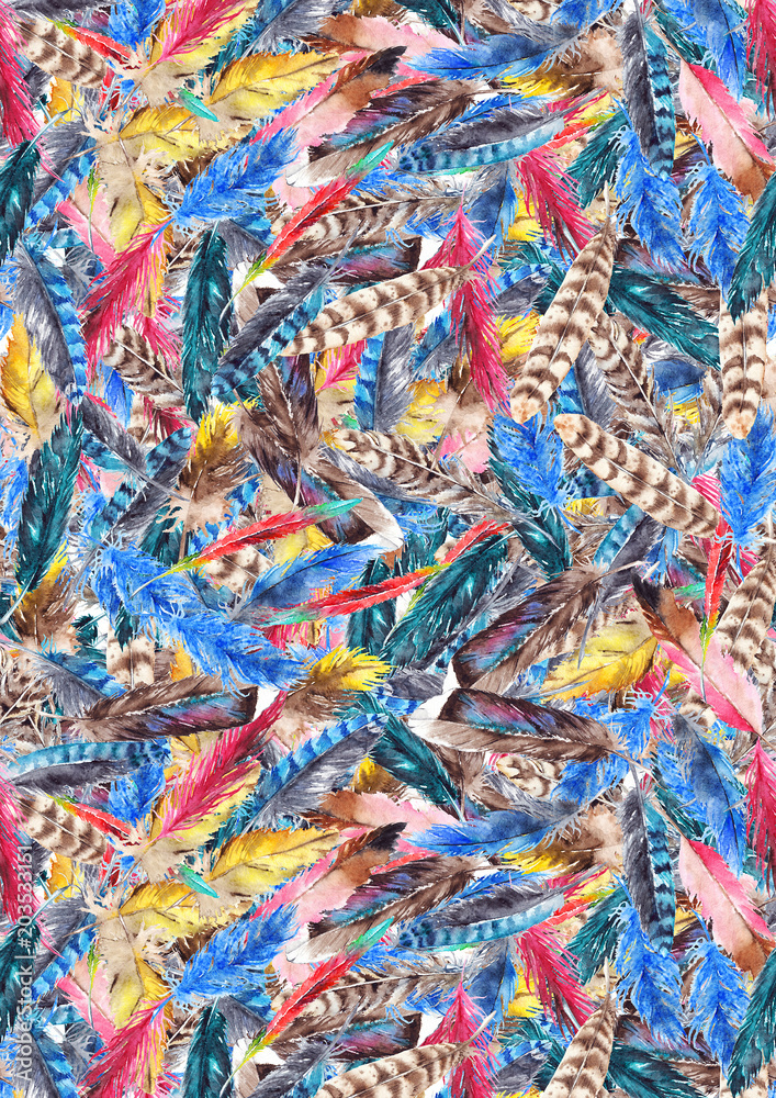Watercolor colorful feather bird background pattern texture