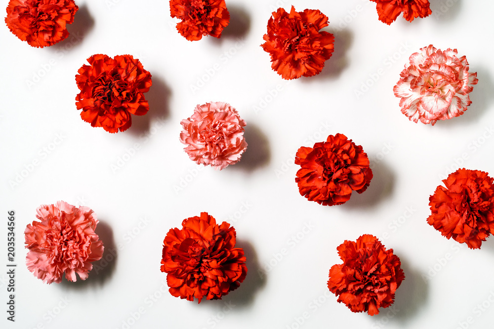 Red carnations flowers on white background. Flat lay. Love concept. Red carnations flowers on white background. Flat lay. Love concept.