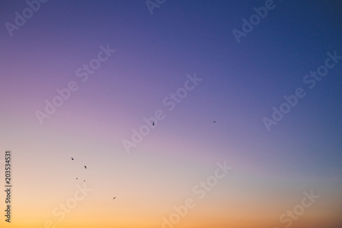 An amazing sky under the ocean and birds