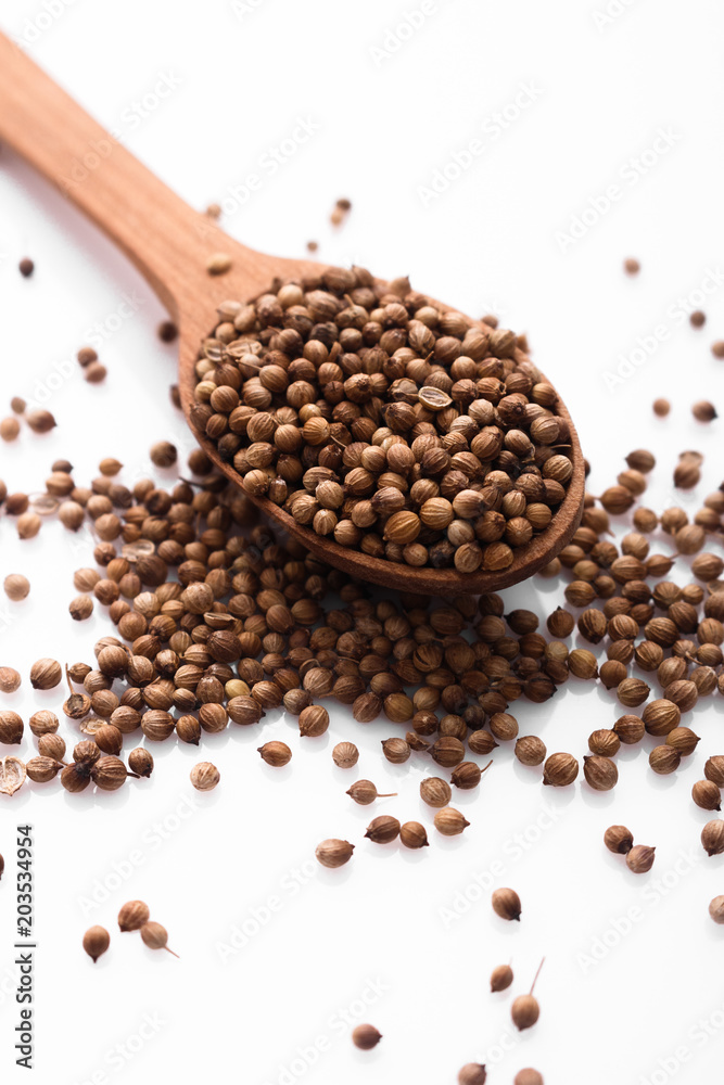 coriander seeds on a white background, essential oil coriander seeds on a white background, essential oil