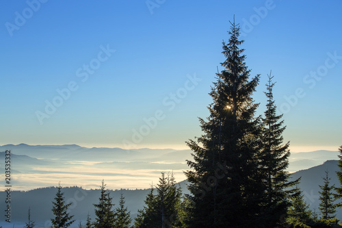 Sunrise against the background of the Carpathian mountains in the summer. Ukraine