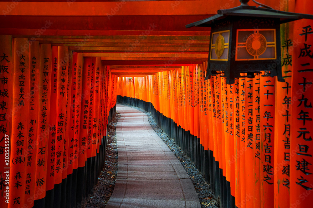 Senbon Torii at Fushimi Inari Shrine. Senbon Torii at Fushimi Inari Shrine.