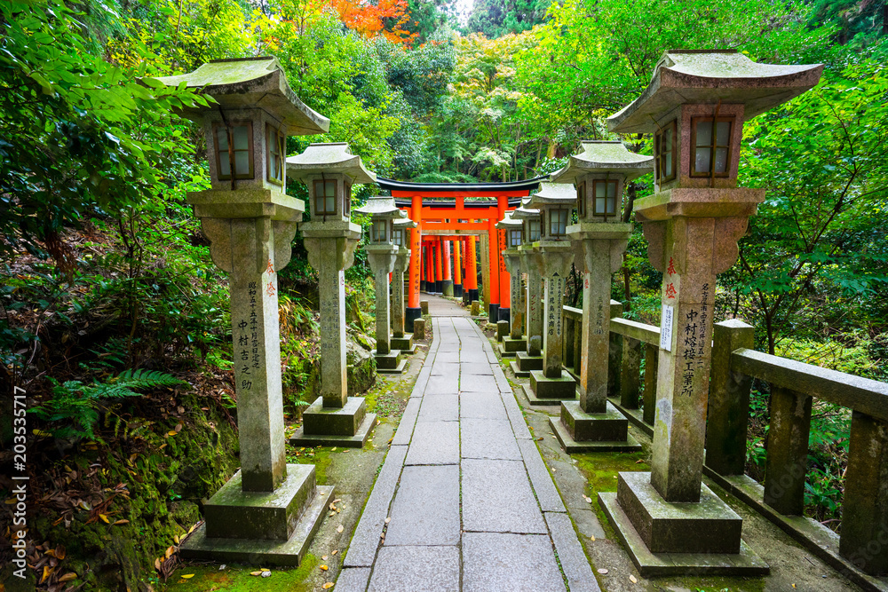 Naklejka premium Senbon Torii at Fushimi Inari Shrine.