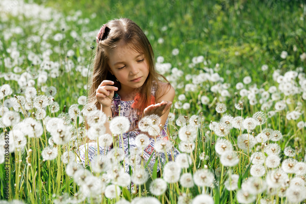 dandelion field white girl beautiful happy little baby green meadow yellow flowers dandelions nature park garden dandelion field white girl beautiful happy little baby green meadow yellow flowers dandelions nature park garden