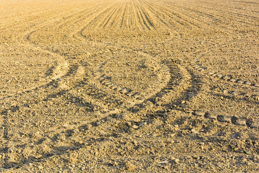 Naklejka premium A dry harrowed land ready for sowing, showing light furrows and geometrical tracks of tractor tyres under a grazing light in the french countryside.