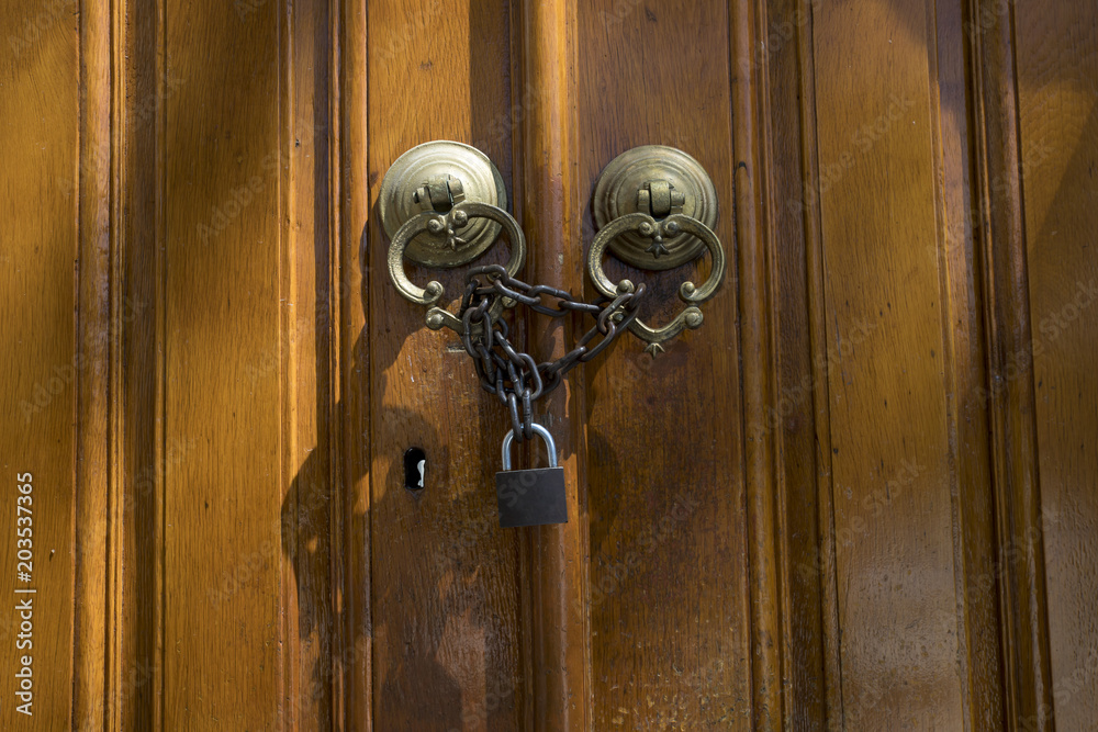 Brass Gate With Door Knocker Brass Gate With Door Knocker