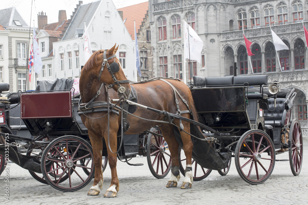 Traditional Horse and Cart, Brugge Belgium