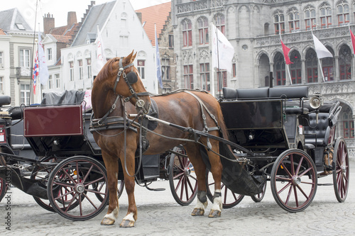 Traditional Horse and Cart, Brugge Belgium