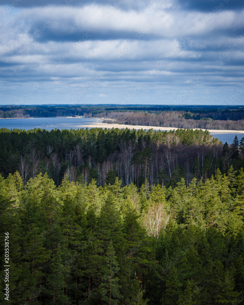 a beautiful spring day, a view from the top to the forests and the lake; A wonderful landscape with pine forests visible to the horizon, green forests, a blue-watered lake and wonderful blue sky.