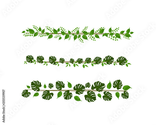 greenery tropical lines monstera stripes
