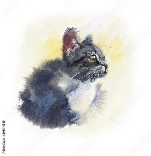 Fototapeta Naklejka Na Ścianę i Meble -  Sad domestic kitten. Watercolor hand drawn illustration