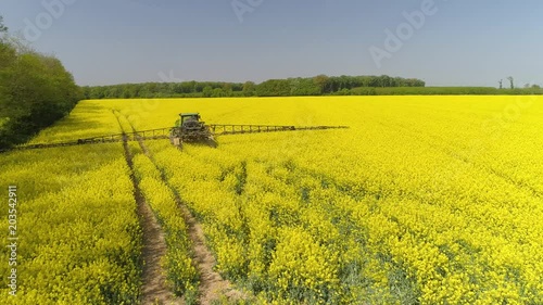 aerial video with canola field