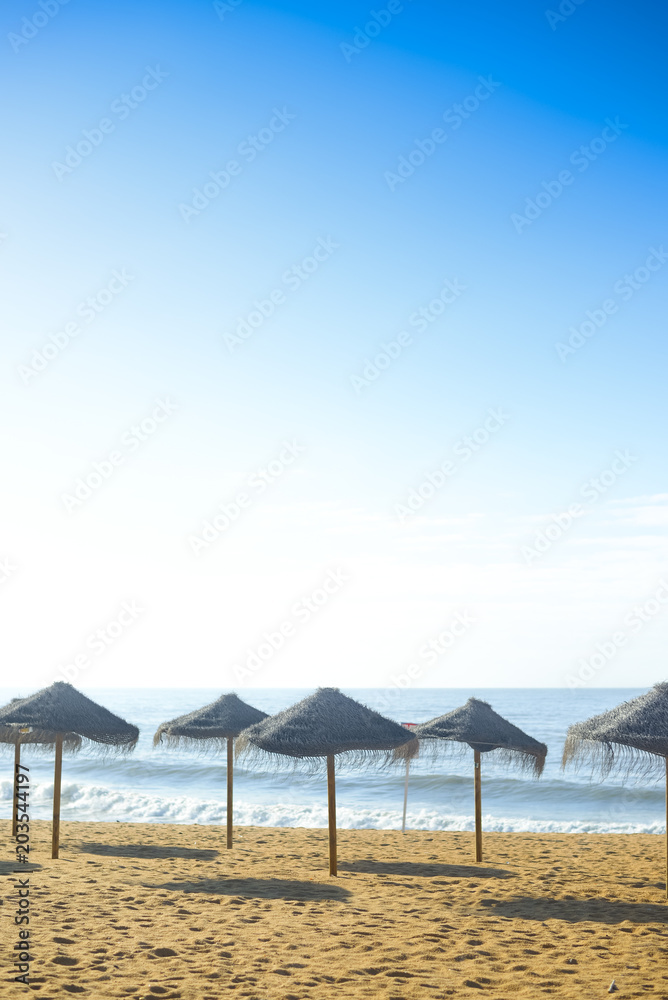Exotic beach umbrellas and chairs on tropical coast