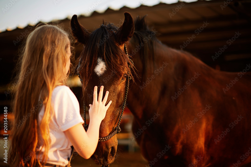 Naklejka premium mała dziewczynka z koniem w słoneczny dzień