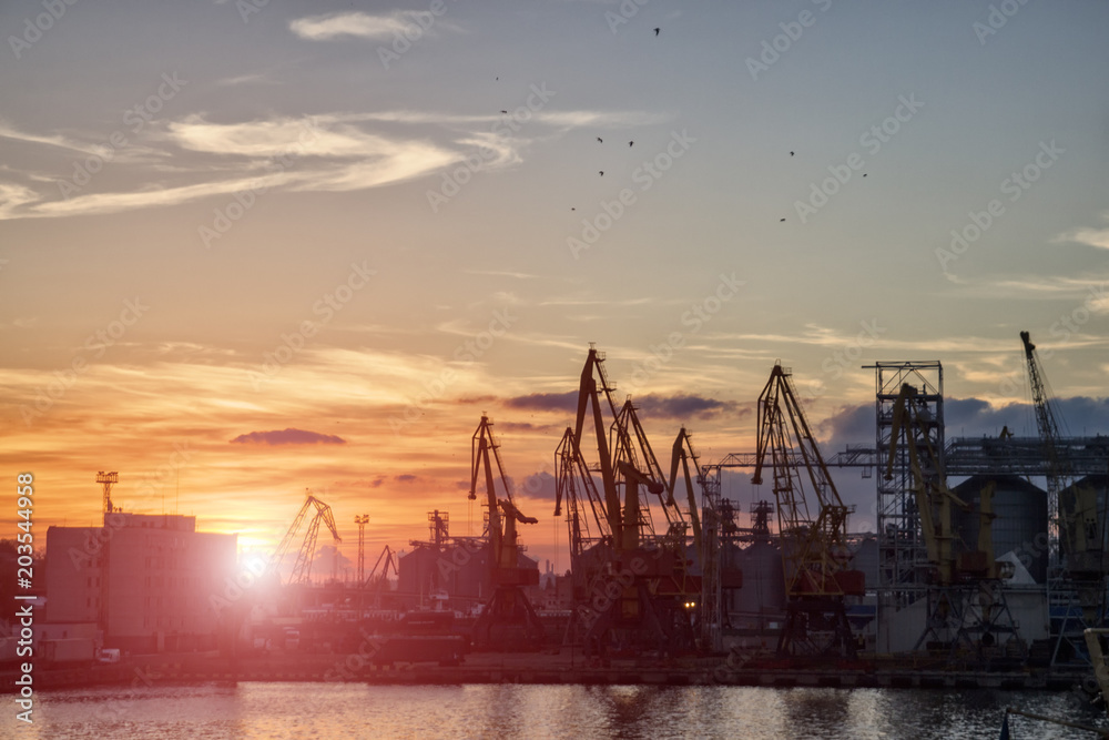 Cargo seaport, ships, a lot of cargo cranes