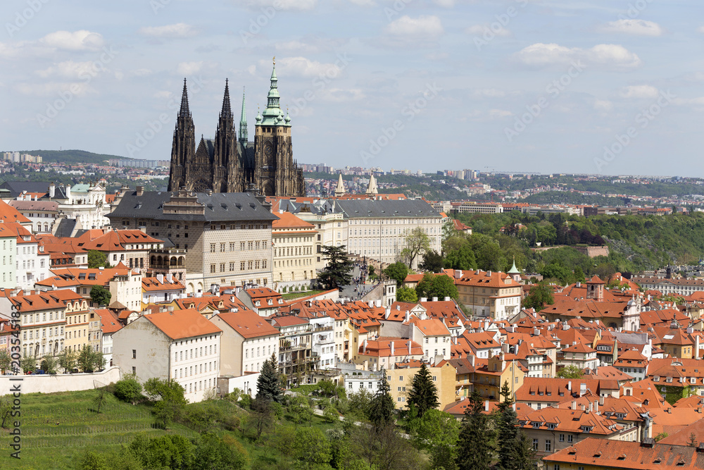 View on the spring Prague City with the green Nature and flowering Trees, Czech Republic View on the spring Prague City with the green Nature and flowering Trees, Czech Republic