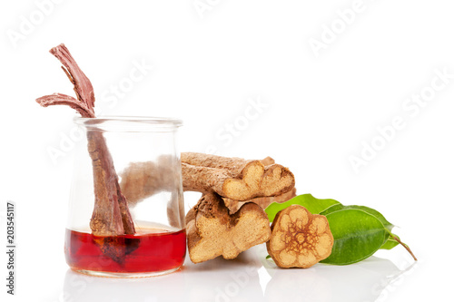 Ayahuasca brew in glass with banisteriopsis caapi wood. photo