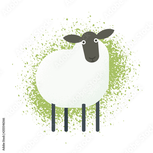 sheep vector illustration