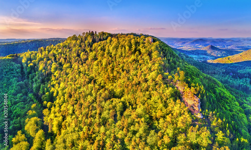 Chateau de Loewenstein, a ruined castle in the Northern Vosges Mountains - Bas-Rhin, France photo