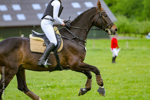 Horse with rider in a meadow galloping on a versatility competition..